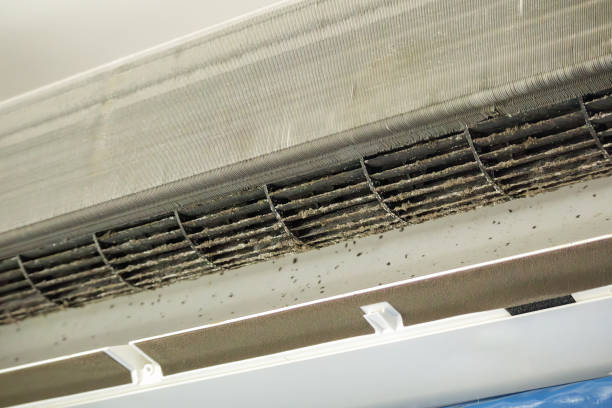 Best Air Duct Cleaning Near Me in Essex, MD